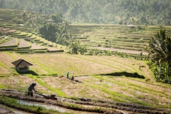 Bali_2010_Ubud_1_117