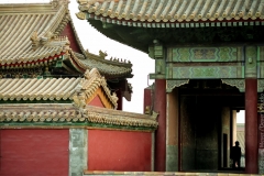 1_Beijing_cyte_2