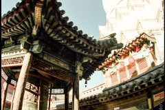 1_Wu_Tai_Shan_31