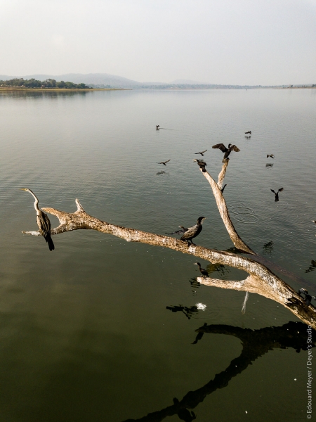 1_drone_inde_2018_497