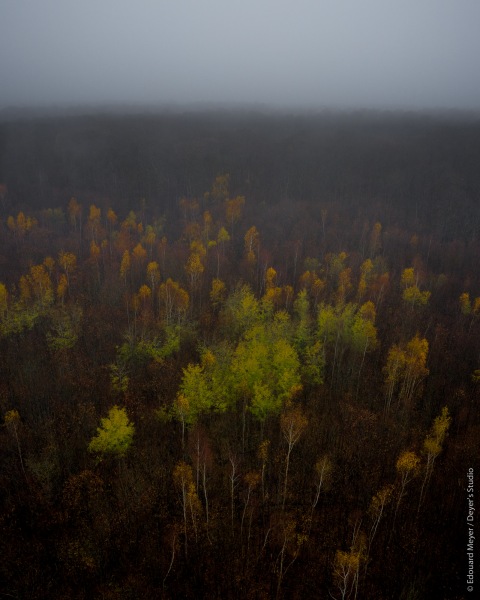 drone_yvelines_2020_318