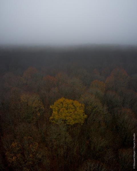 drone_yvelines_2020_338