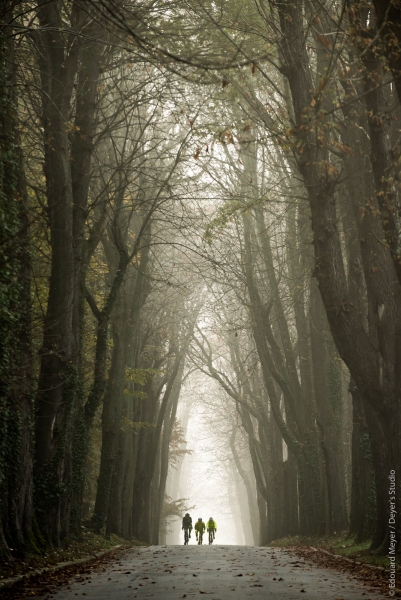 bazemont_2016_308