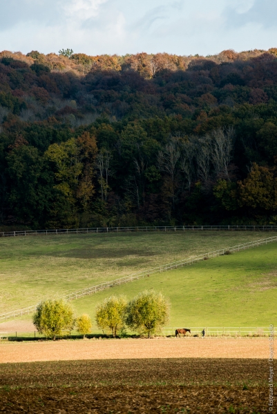 bazemont_2016_475