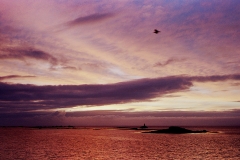 glénan_1